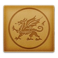 Sample Welsh Dragon - Sample Image