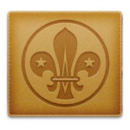 Sample Scout Badge - Sample Image